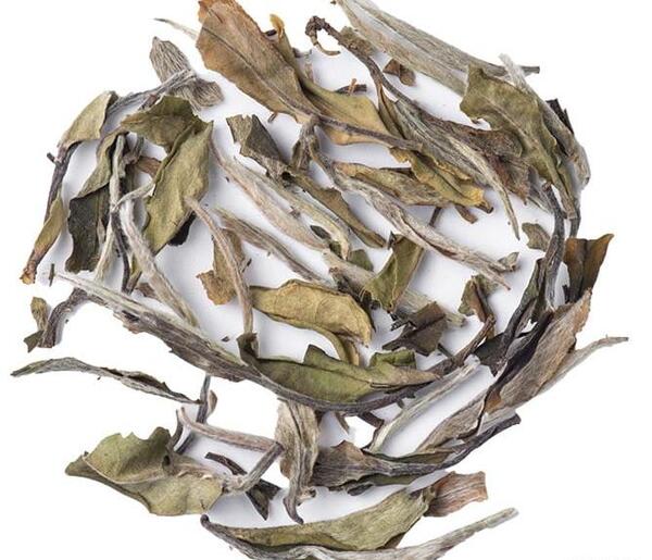 عکس انواع چای سفید