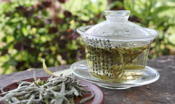 عکس از چای سفید