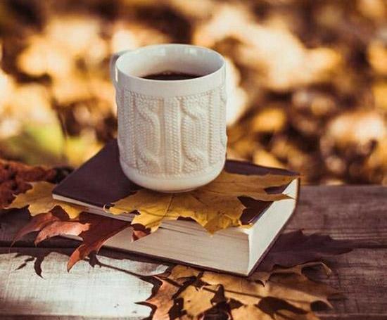 عکس استکان چای برای پروفایل