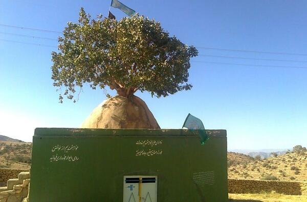 عکس چاه آب کازرون