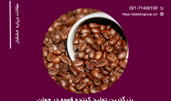 عکس بزرگترین چای جهان