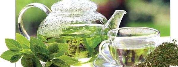 عکس چای کوهی خشک