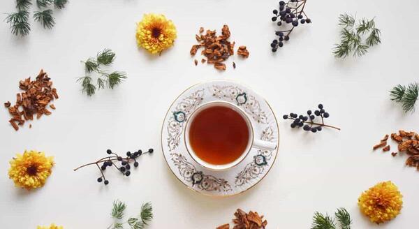 عکس چای سیب و دارچین