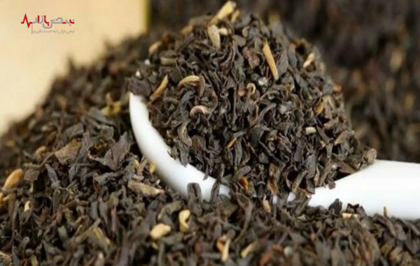 عکس مدیرعامل چای دبش