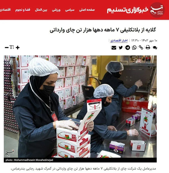 عکس مدیرعامل چای دبش