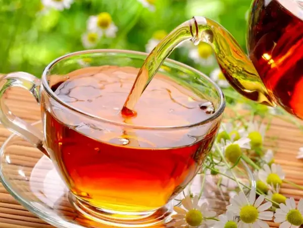 عکس چای ریختن امام