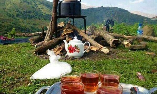 عکس ریختن چای در فنجان