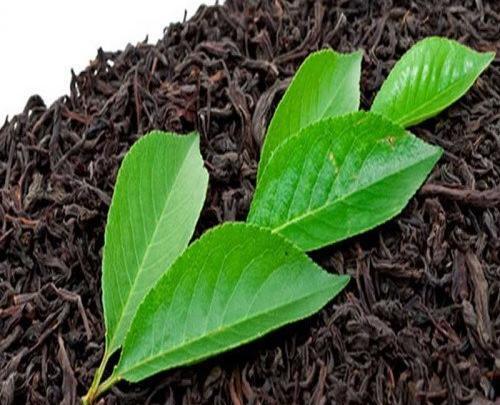 عکس از چای سیاه
