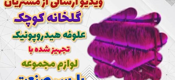 عکس کارت پلاک طلا چای فامیلا
