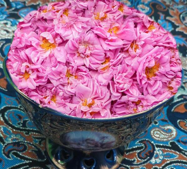 عکس چای با گل محمدی