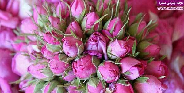 عکس چای با گل محمدی