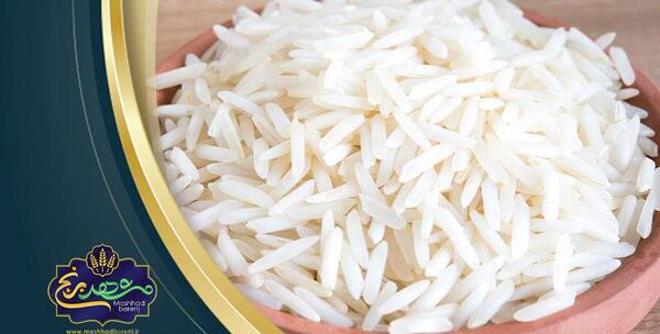 عکس چای و برنج گیلان