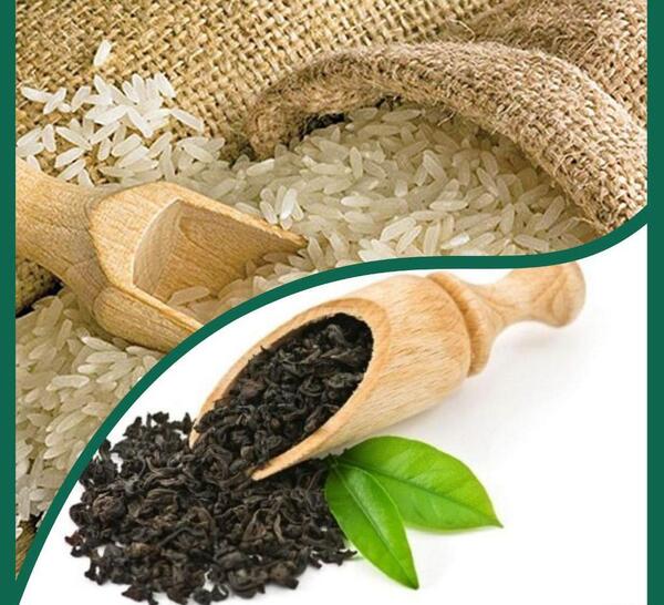 عکس چای و برنج گیلان