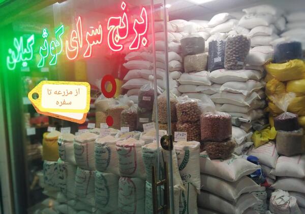عکس چای و برنج گیلان