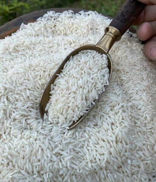 عکس چای و برنج گیلان