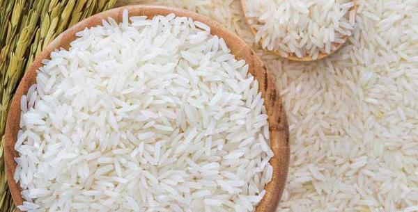 عکس چای و برنج گیلان