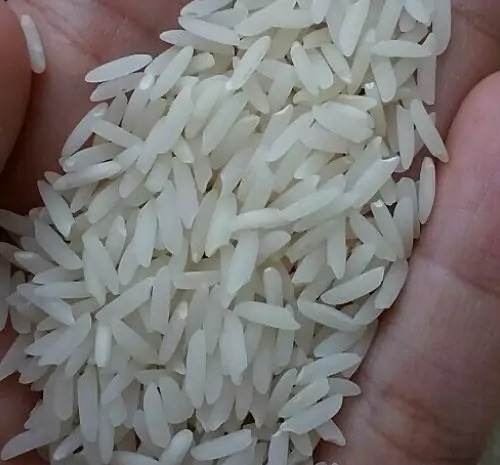 عکس چای و برنج گیلان