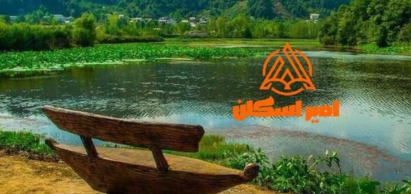 عکس مزرعه چای لاهیجان