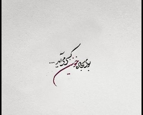 عکس تصاویر شهادت حضرت علی علیه السلام