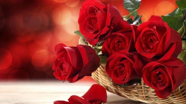 عکس نوشته روز ازدواج حضرت علی و فاطمه