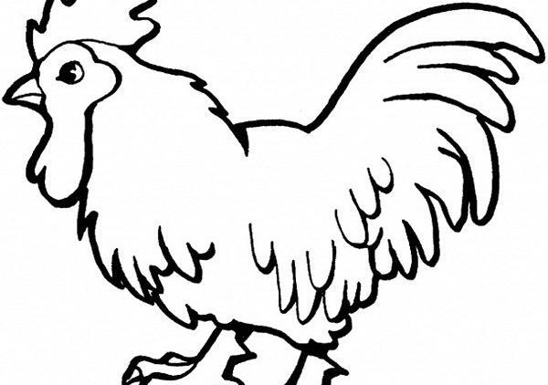 عکس حیوانات اهلی نقاشی