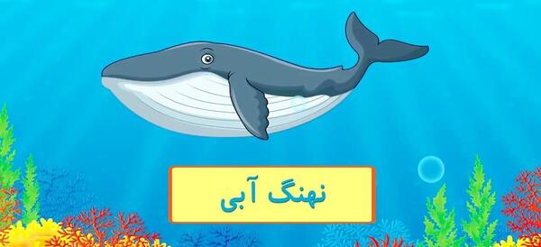 عکس از حیوانات آبزی