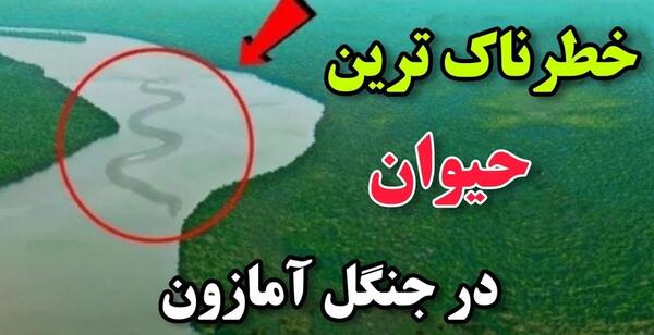 عکس ترسناک ترین حیوانات آمازون