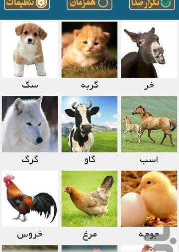 عکس حیوانات برای آموزش کودکان