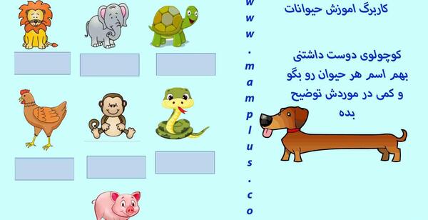 عکس حیوانات برای آموزش کودکان