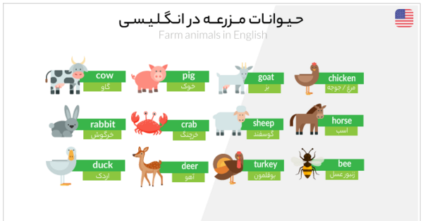 عکس حیوانات با اسم فارسی