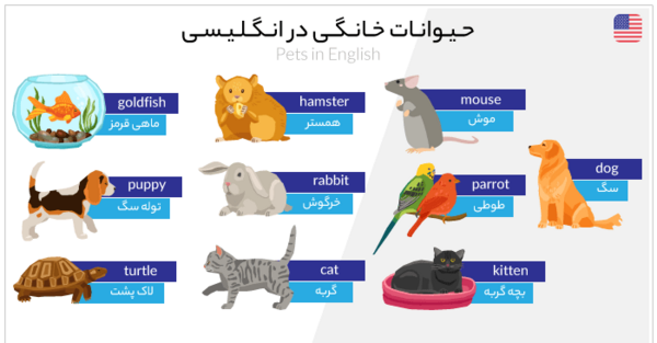 عکس حیوانات با اسم فارسی