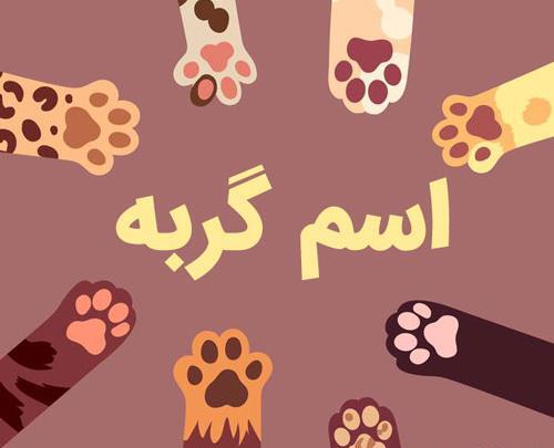 عکس حیوانات با اسم فارسی
