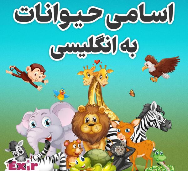 عکس حیوانات با اسم انگلیسی