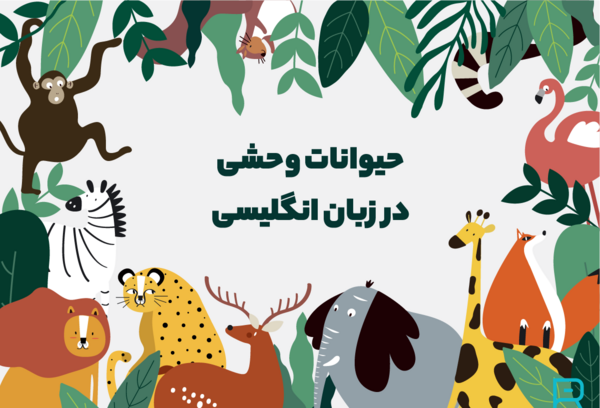 عکس حیوانات با اسم انگلیسی