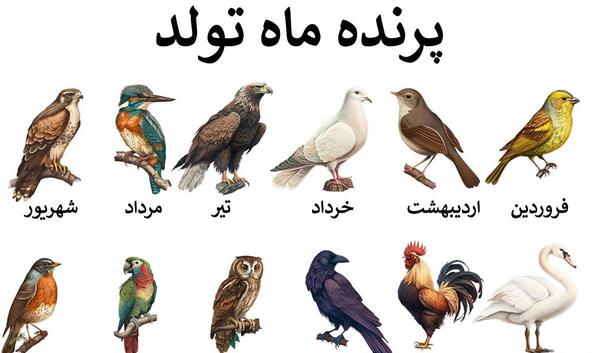 عکس انواع حیوانات با اسم