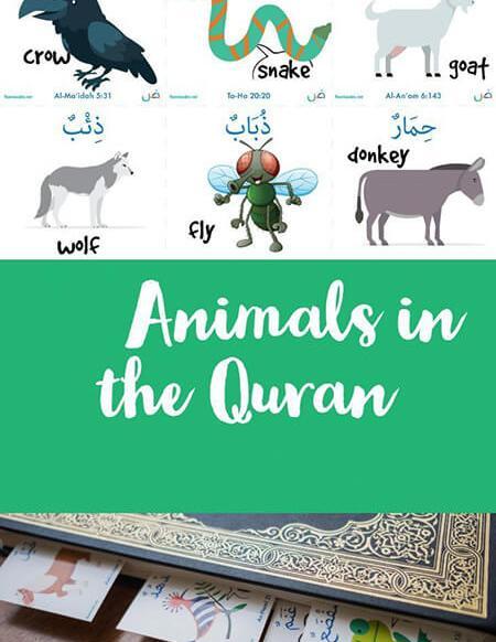 عکس انواع حیوانات با اسم