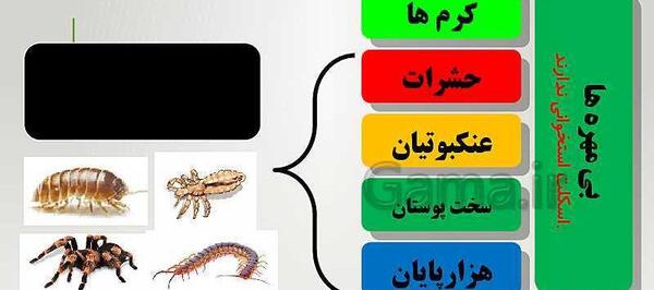 عکس از حیوانات بی مهره