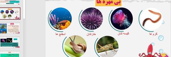عکس حیوانات مهره دار و بی مهره