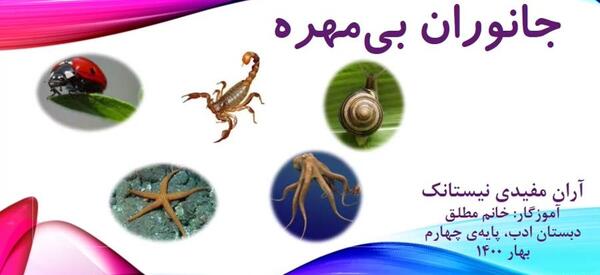 عکس حیوانات مهره دار و بی مهره