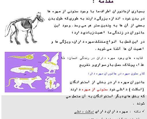 عکس حیوانات مهره دار و بی مهره