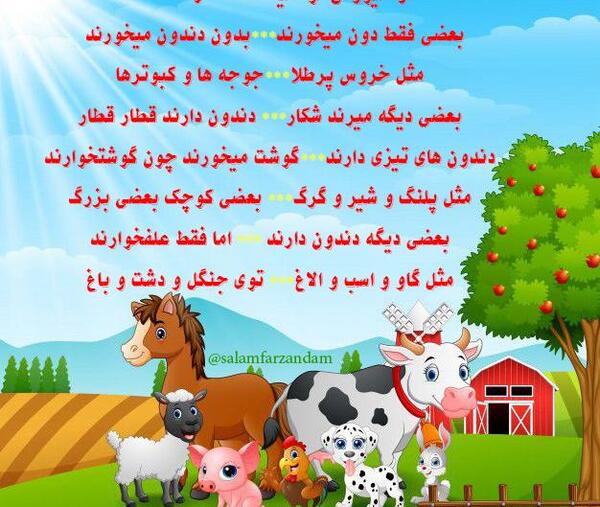 عکس حیوانات واقعی برای کودکان