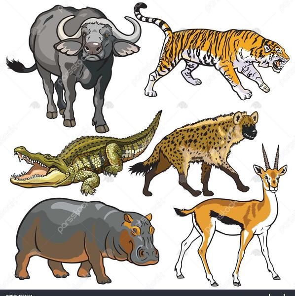 عکس حیوانات واقعی برای کودکان