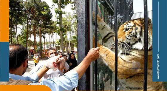 عکس حیوانات باغ وحش پارک ارم
