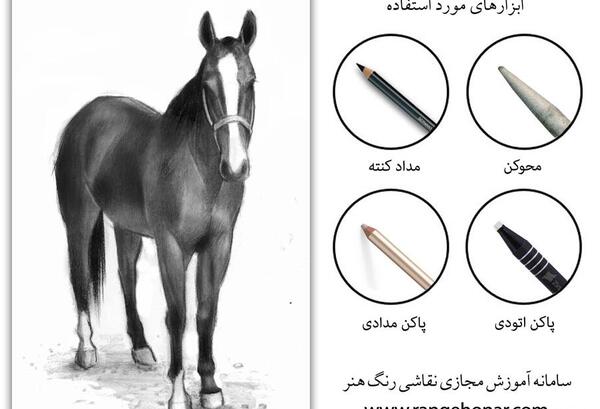 عکس نقاشی حیوانات پرندگان