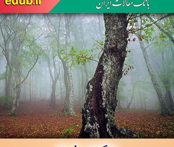 عکس حیوانات جنگل شمال
