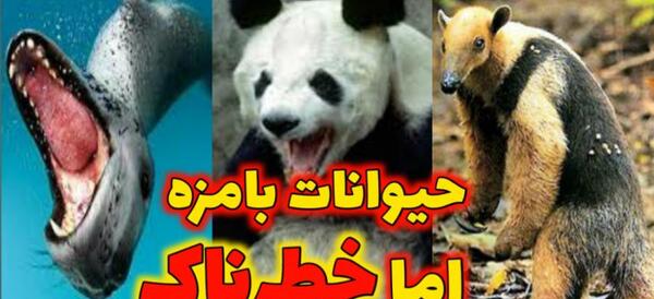 عکس های حیوانات جهنمی