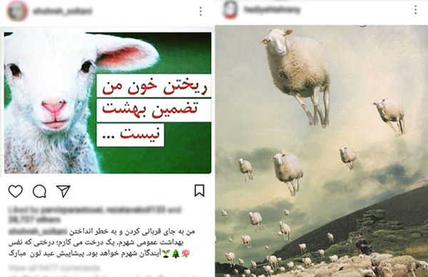 عکس حیوانات چهره انسان
