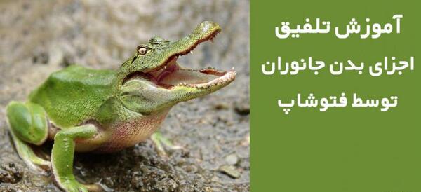 عکس ترکیب چهره حیوانات با فتوشاپ