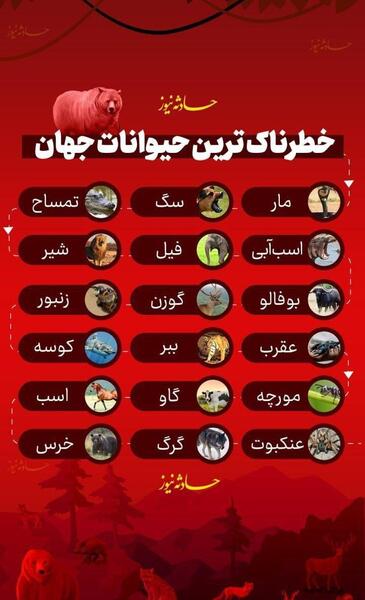 عکس حیوانات خطرناک جهان