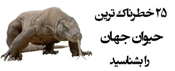 عکس خطرناک ترین حیوانات جهان
